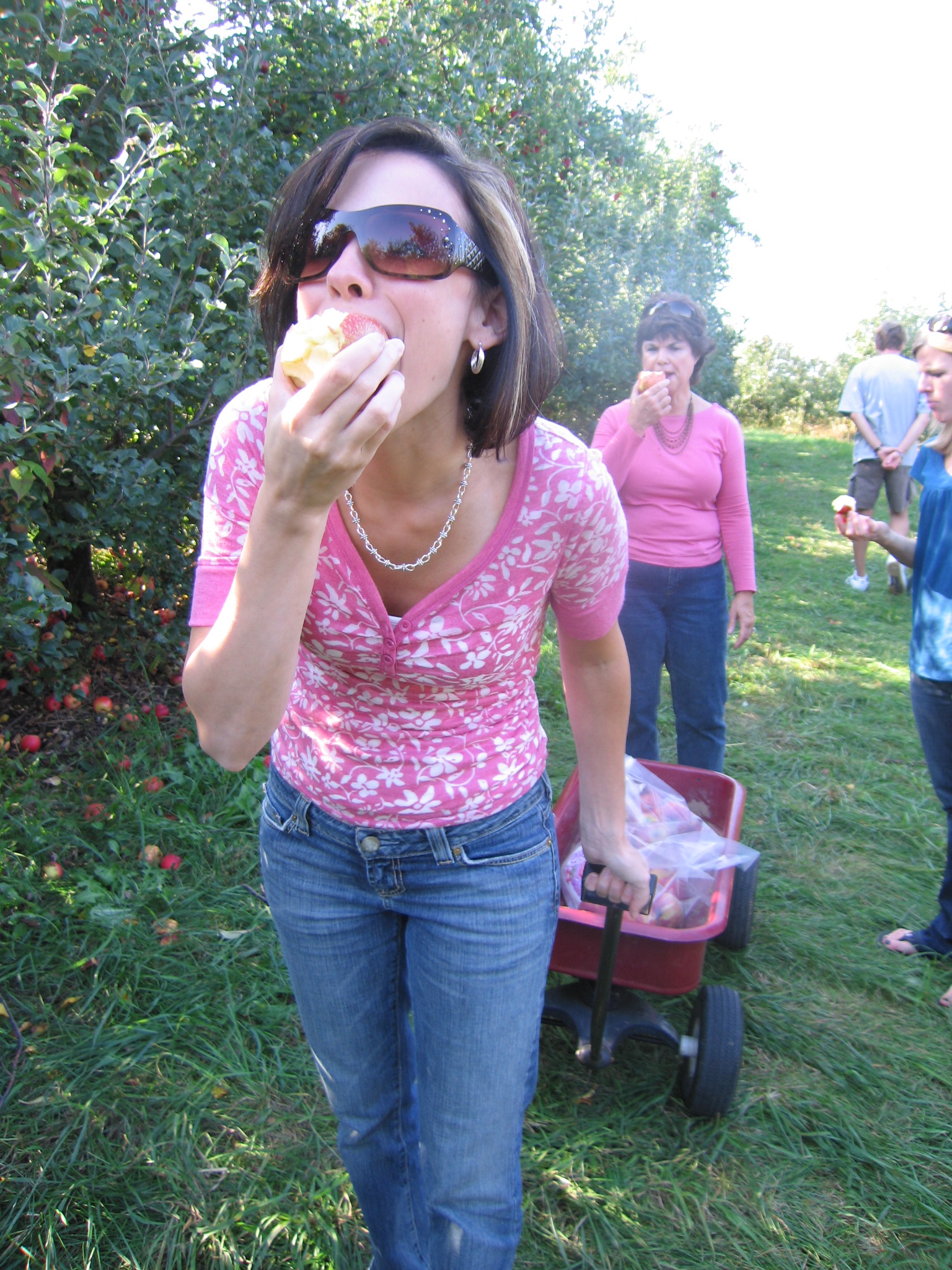 Apple Picking at Epelgaarden