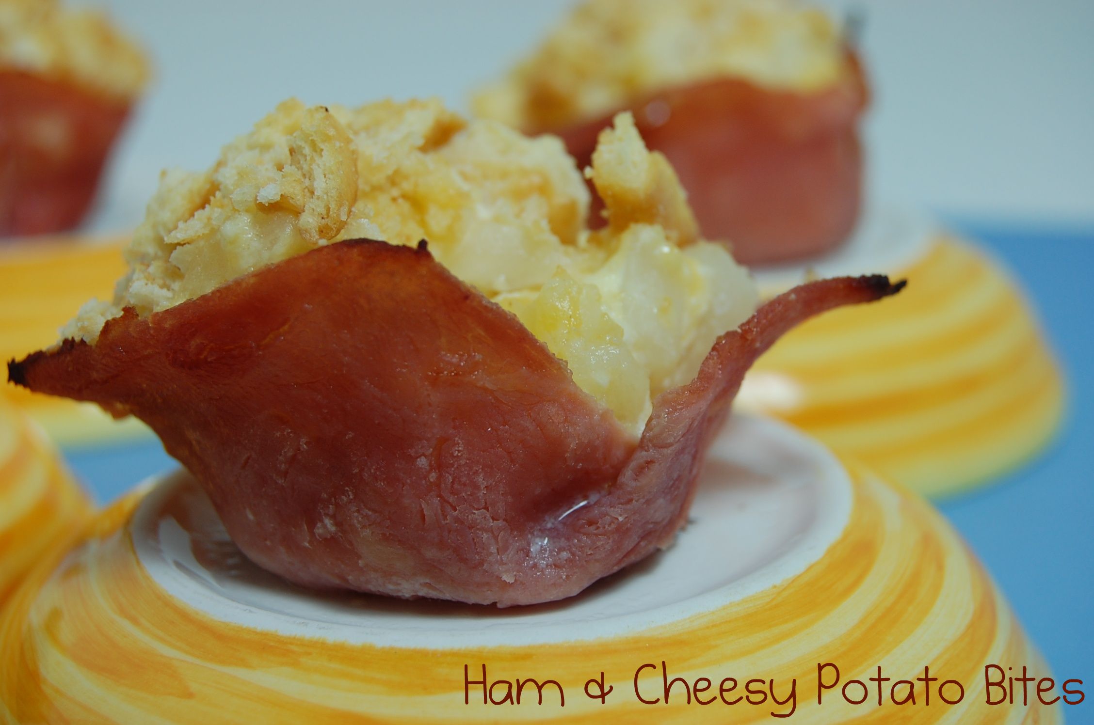 ham-and-cheesy-potato-bites ham-and-cheesy-potato-bites