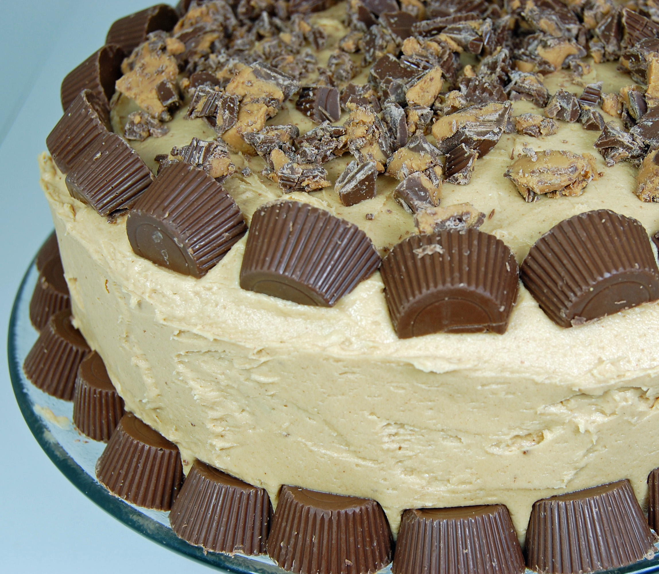 Chocolate Peanut Butter Cake 2