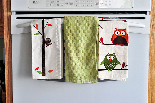 Owl Towels