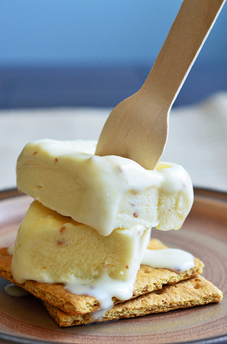 Roasted Marshmallow Ice Cream