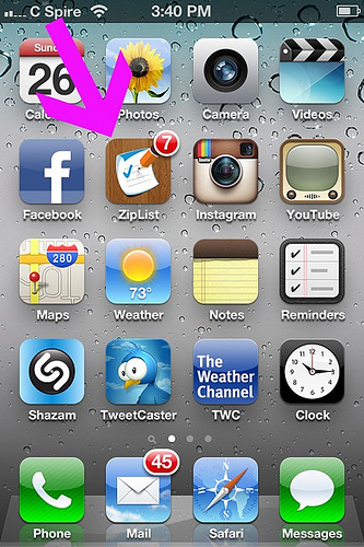 ziplist iphone icon