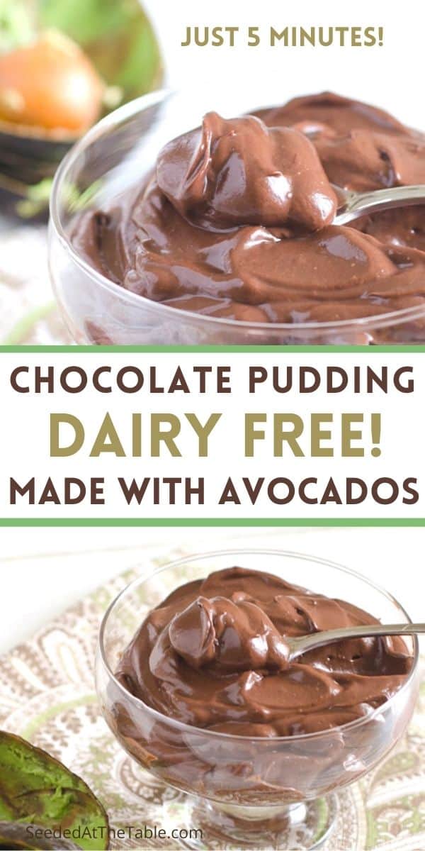 This avocado chocolate pudding is healthy and can be dairy free!  Just 5 ingredients and 5 minutes to whip up this thick and creamy avocado pudding.  A delicious paleo, gluten free, vegan and dairy free dessert!