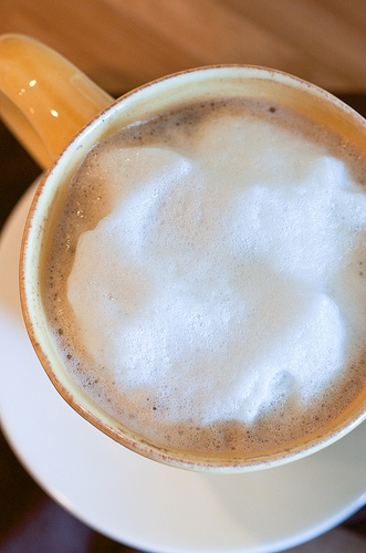 DIY Quick & Easy Milk Froth - Easy Recipes for Family Time - Seeded At The  Table