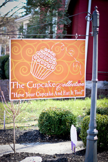 The Cupcake Collection