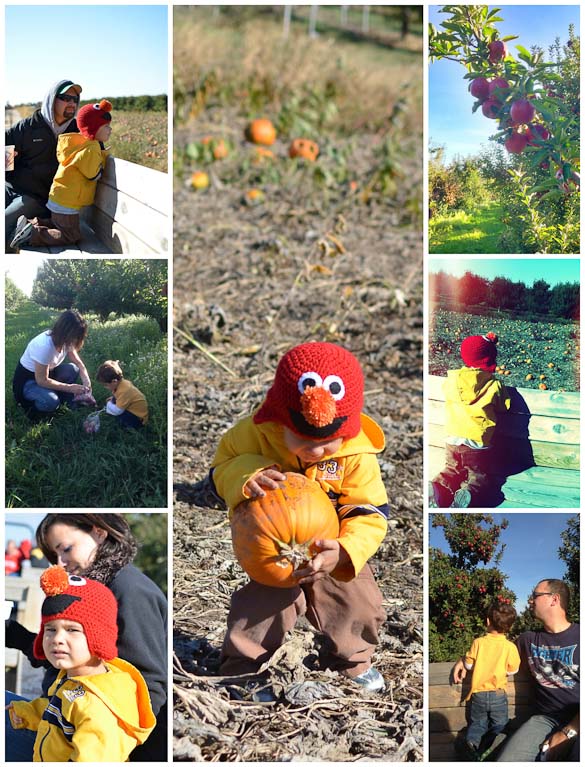 Located just over 30 minutes northeast of Grand Rapids, MI, Klackle Orchards is a great place to take your family this fall for wagon rides, apple and pumpkin picking, donuts and cider and a whole bunch of other family fun activities.