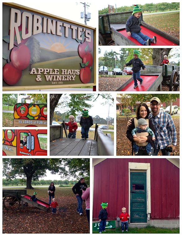 Established in 1911, Robinette’s Apple Haus & Winery has grown to offer a year round bakery, gift house, winery, and a seasonal cider mill, apple orchards and other fall activities for the entire family in Michigan.