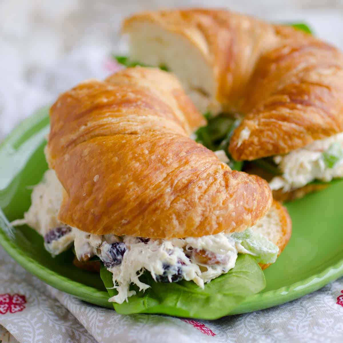 chicken salad sandwich on a croissant