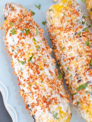 corn on the cob with creamy spread on blue plate and garnished with cilantro