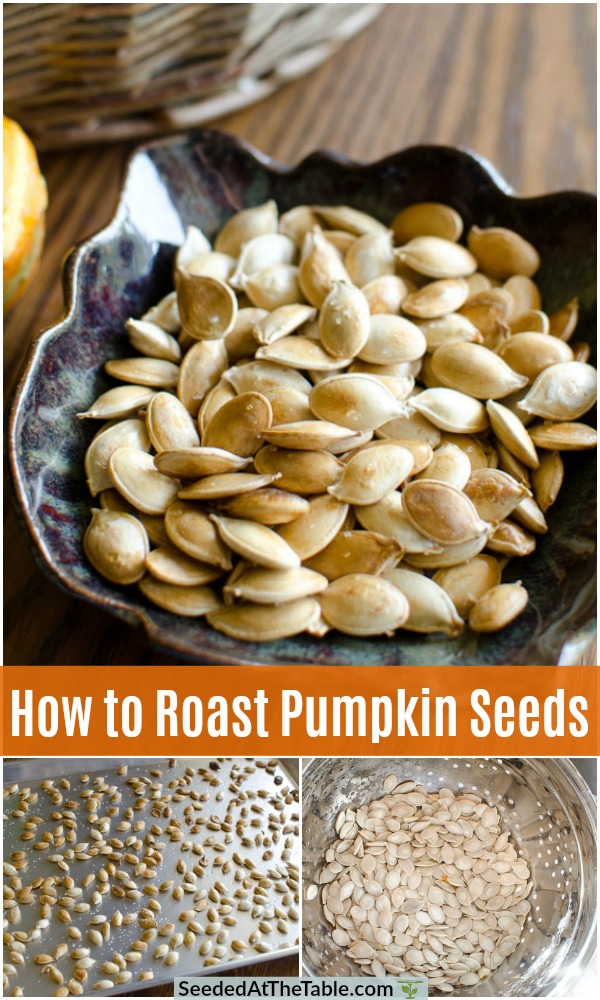 Steps for how to roast pumpkin seeds.  Save your pumpkin seeds and roast them in the oven for a healthy crunchy snack your family will love!
