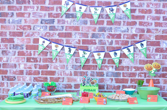 Plants vs Zombies Birthday Party Ideas - games, food and decorations for a PvZ birthday party.