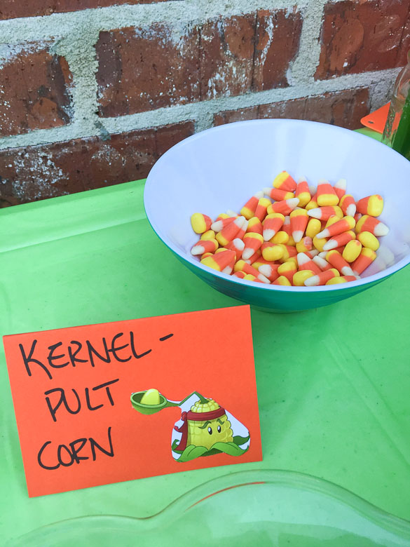 Plants vs Zombies Birthday Party Ideas - games, food and decorations for a PvZ birthday party.