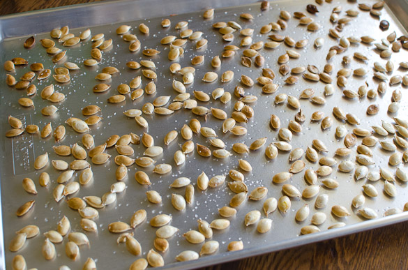 Roasted pumpkin seeds on a sheet pan.