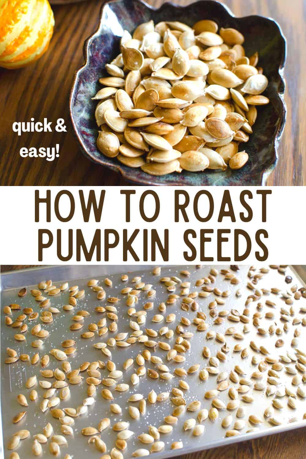 Learn how to roast pumpkin seeds. Save your pumpkin seeds and roast them in the oven for a healthy crunchy snack your family will love!