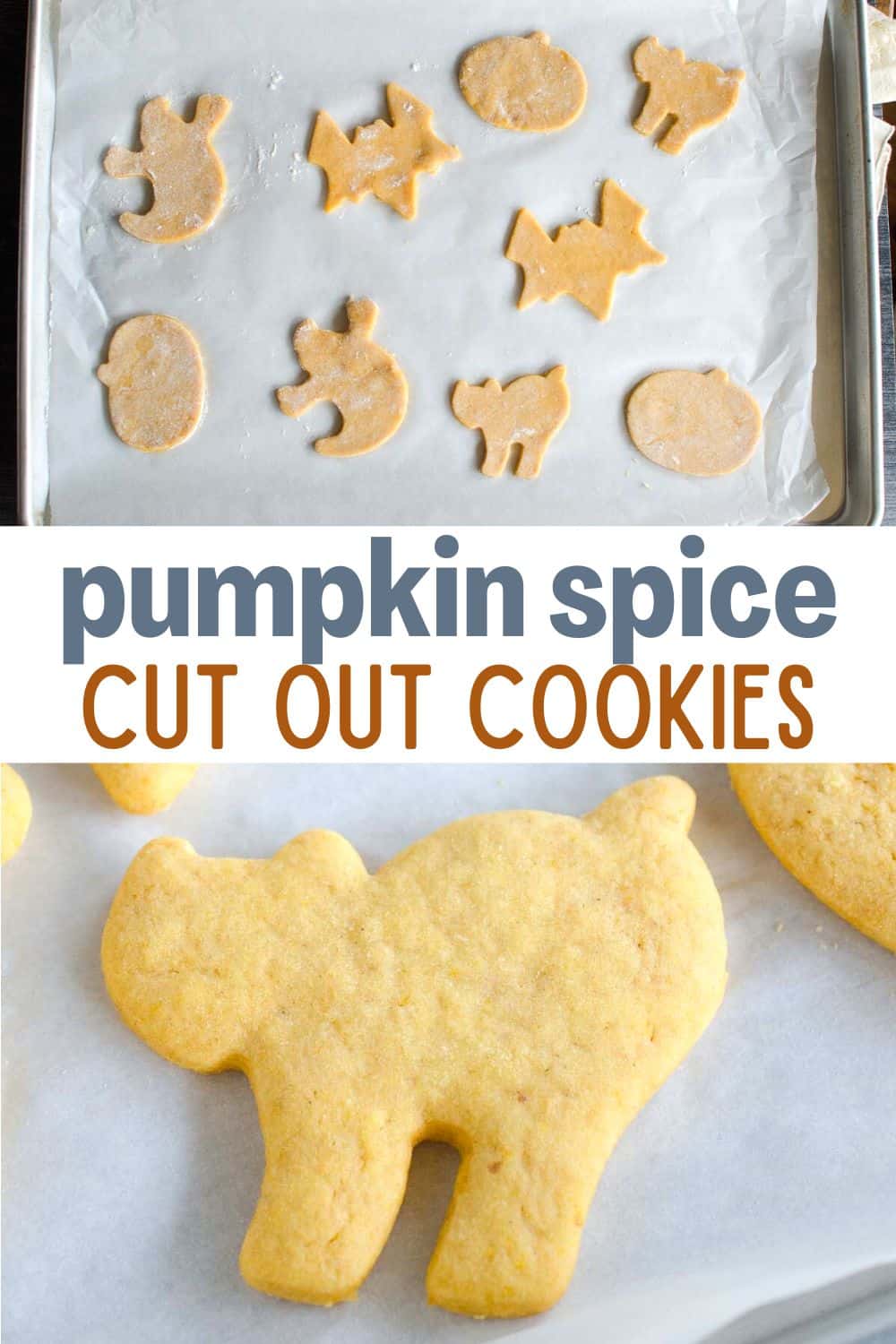 Try our easy pumpkin spice cut out cookies for Halloween and the fall season. These sugar cookies hold their shape and, with a little icing, are the perfect cookies to decorate for Halloween or Thanksgiving!