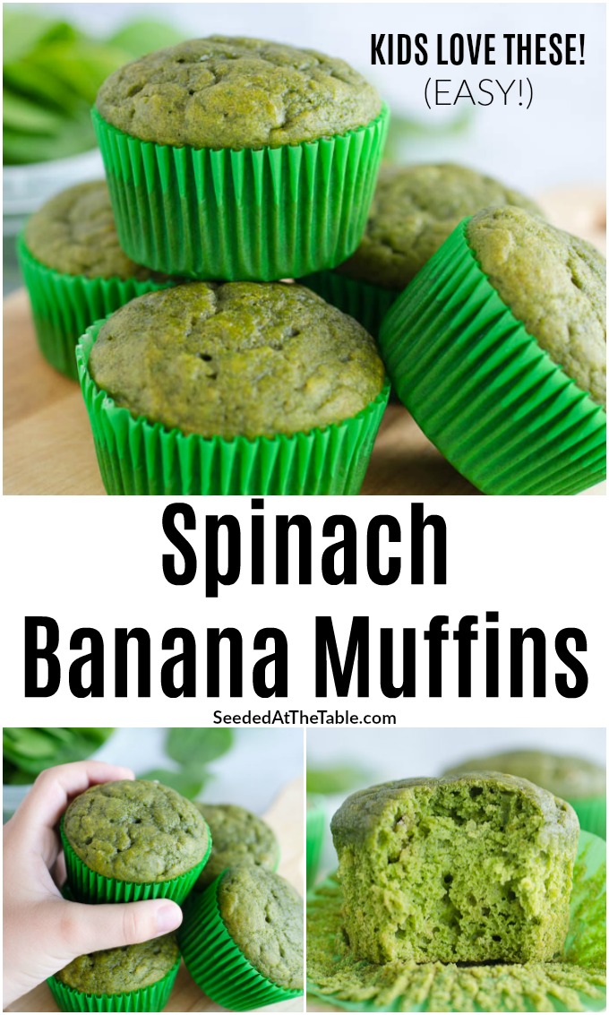 Fresh spinach is hidden in these sweet but refined-sugar-free muffins giving them their fun green color. These spinach banana muffins are healthy muffins for kids, but adults love them, too!