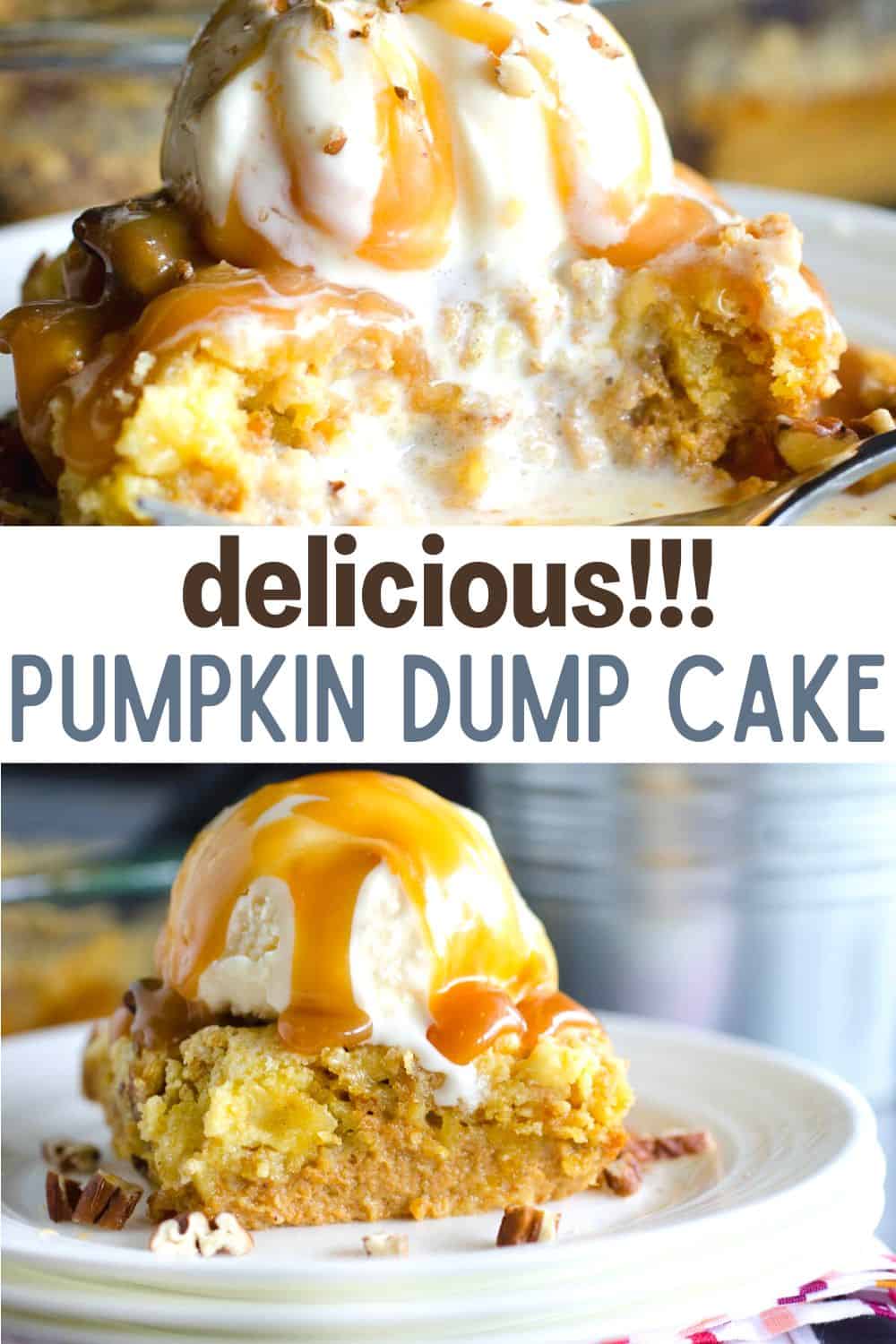 This easy pumpkin dump cake is like a warm delicious pumpkin cobbler. It is a favorite fall dessert served with ice cream and caramel over top. Don't miss this one!