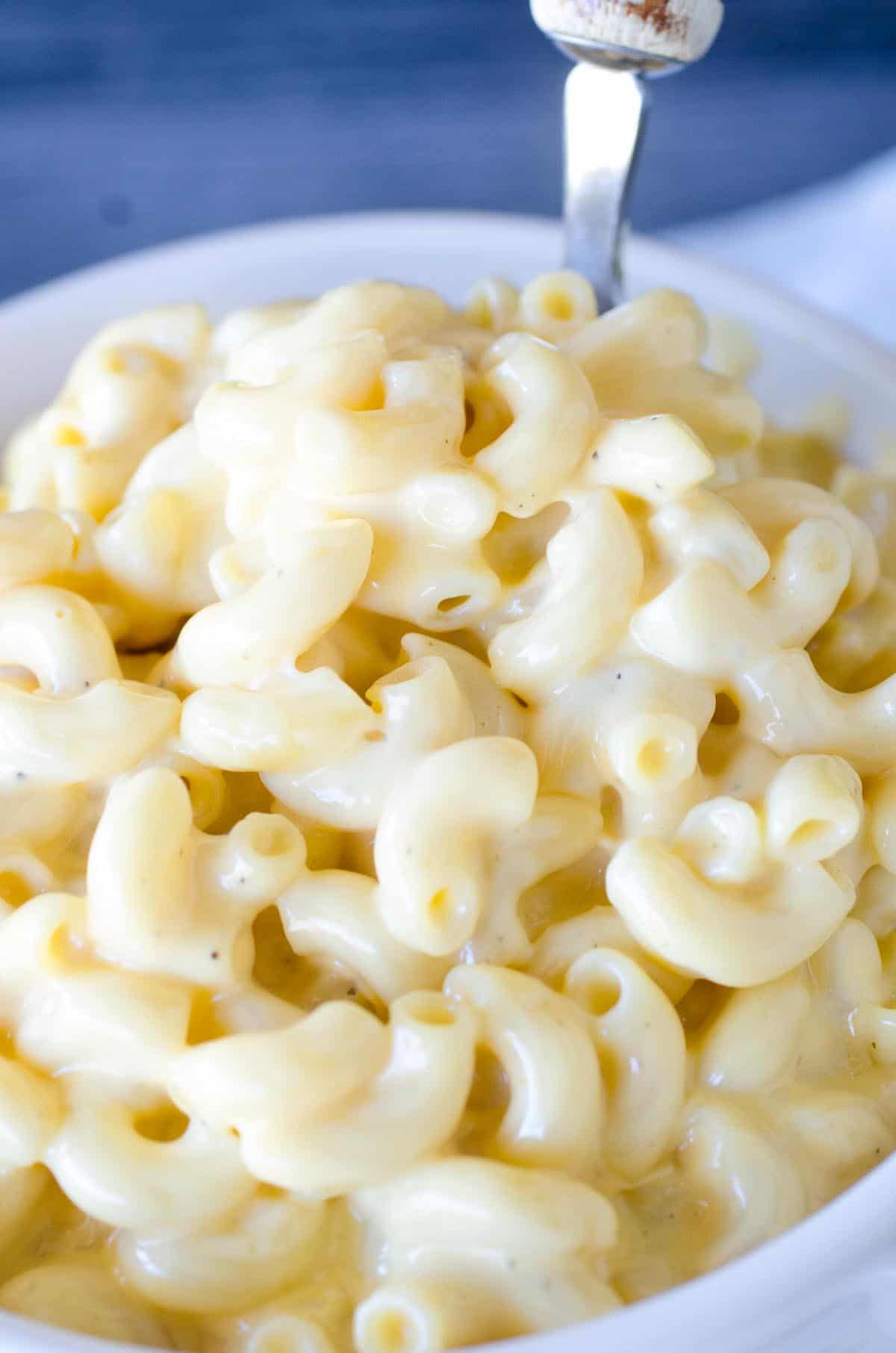 bowl of creamy mac and cheese