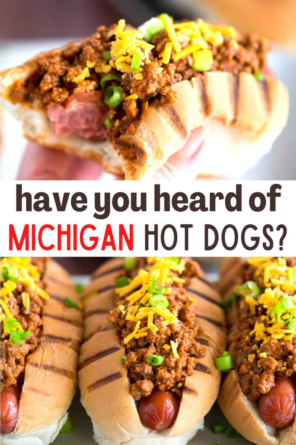This easy michigan sauce recipe is a vinegar based meat sauce that slathers over top your hot dogs. Similar to a coney dog, upstate new york calls them michigans. (And, yes, its a lowercase 'm'!)