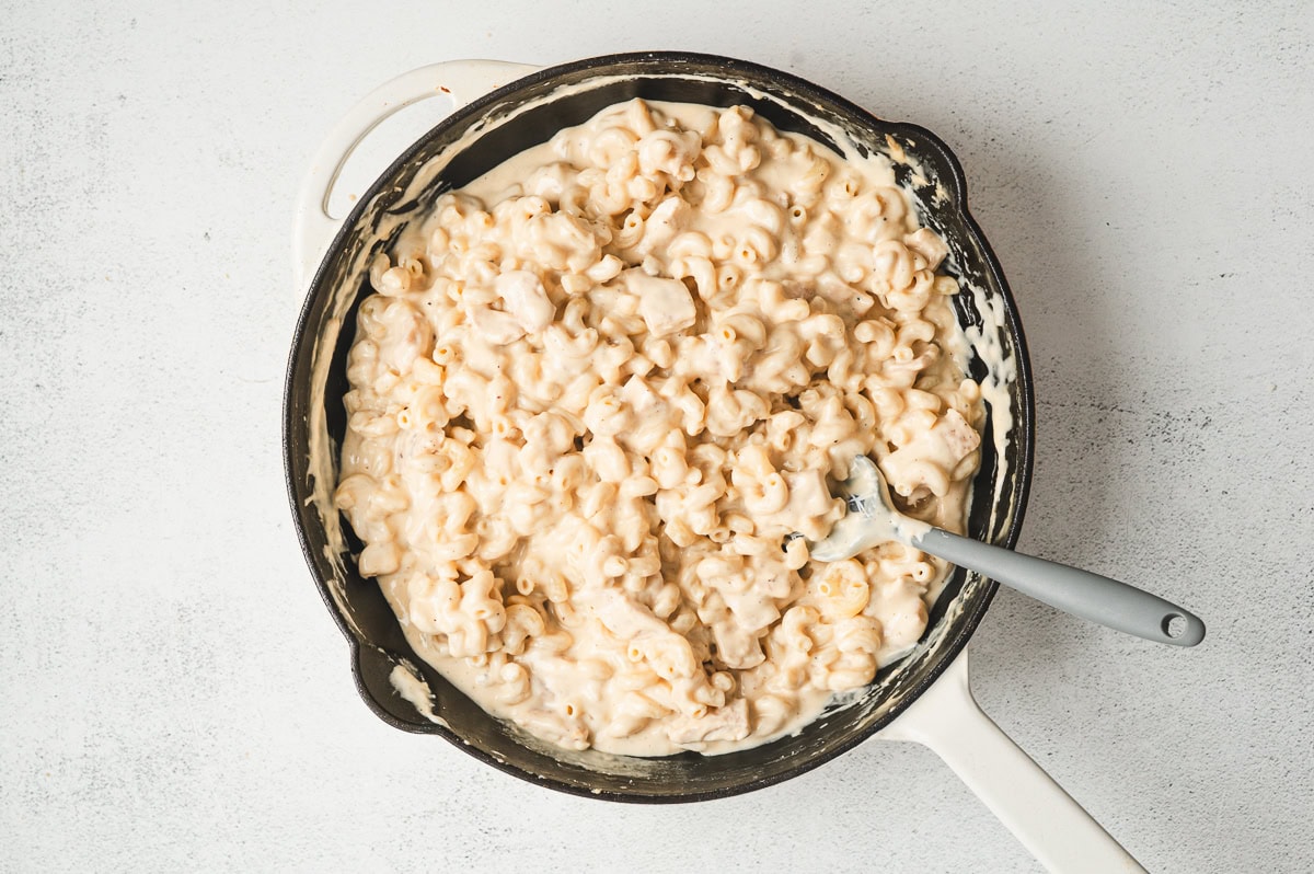 chicken macaroni in cheese sauce skillet